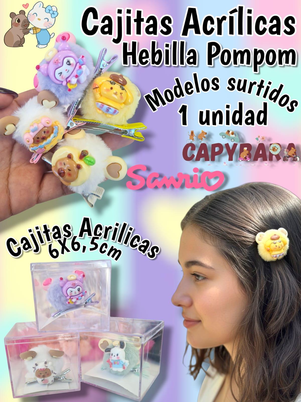Cajitas Acrilicas Hebillas CAPYBARA SANRIO